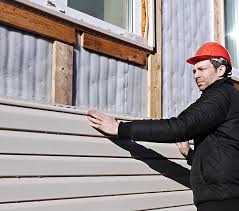 Best Insulated Siding Installation  in Tripoli, IA